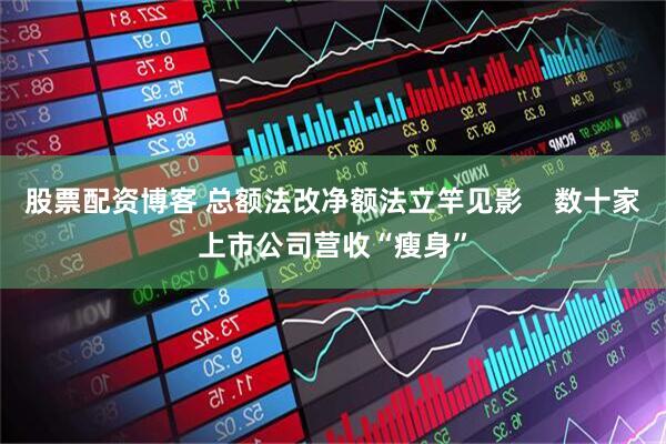股票配资博客 总额法改净额法立竿见影    数十家上市公司营收“瘦身”
