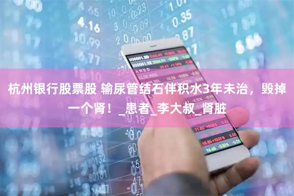 杭州银行股票股 输尿管结石伴积水3年未治，毁掉一个肾！_患者_李大叔_肾脏