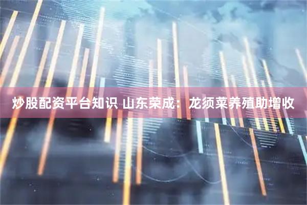 炒股配资平台知识 山东荣成：龙须菜养殖助增收